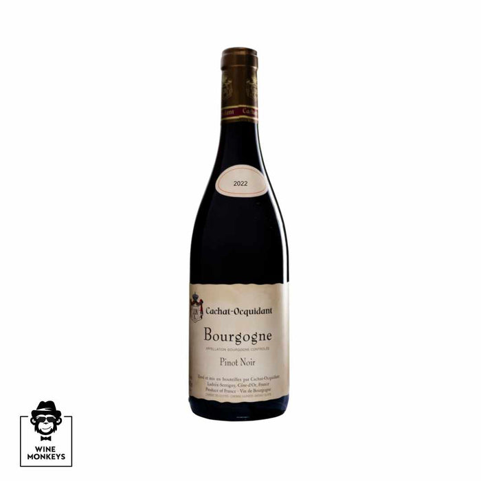Cachat Ocquidant - Bourgogne Rouge - 2022